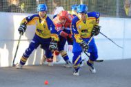 Lance-balle et deck hockey