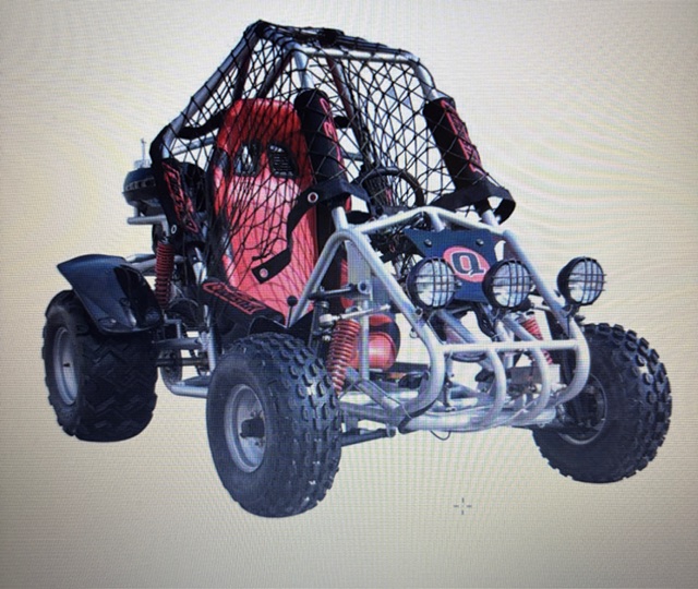 Dirt Buggy en action sur la piste
